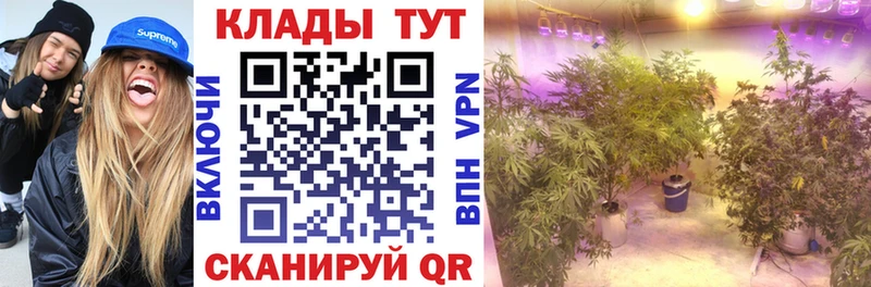 Виды наркотиков купить Кондопога Конопля  Alpha PVP  ГАШИШ  Кокаин 