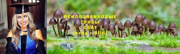 прущие грибы Белоозёрский