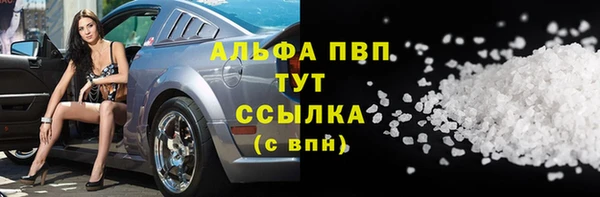 прущие грибы Белоозёрский