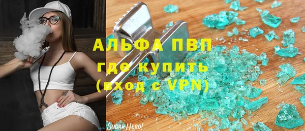 прущие грибы Белоозёрский
