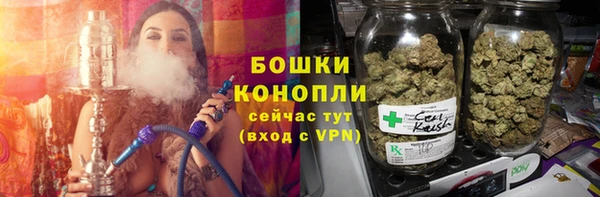 прущие грибы Белоозёрский