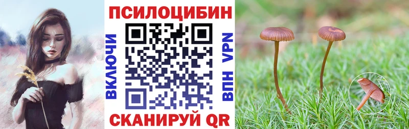 Псилоцибиновые грибы MAGIC MUSHROOMS  Кондопога 