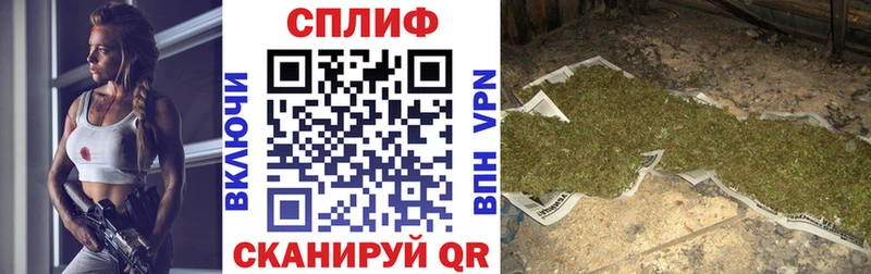 купить закладку  Кондопога  Бошки марихуана Bruce Banner 